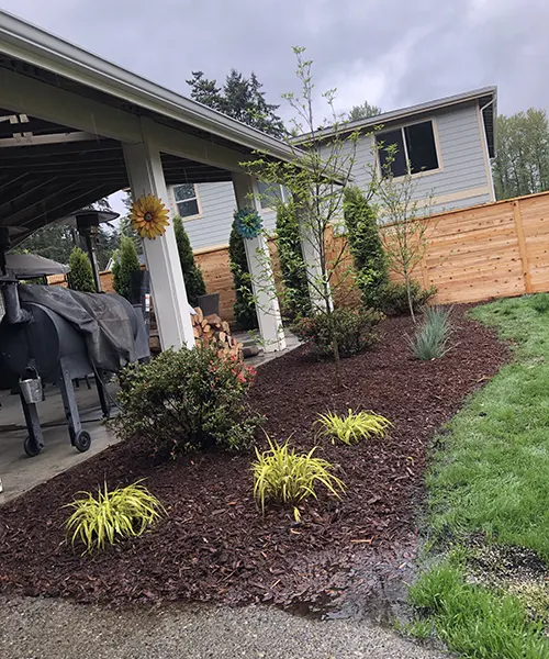 New Lawn Installation in Seattle 